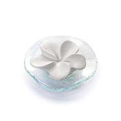 Bild von Primavera® - Duftstein - Frangipani