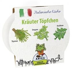 Bild von ARIES - Urban Gardening Kräutertöpfe - Italienische Kräuter - 3 Pflanzentöpfe