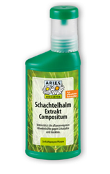 Bild von ARIES - Ackerschachtelhalm