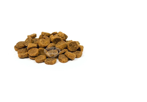 Picture of Trovet Hypoallergenic - (Insect - Potato) Dog / IPD grain-free - 10kg