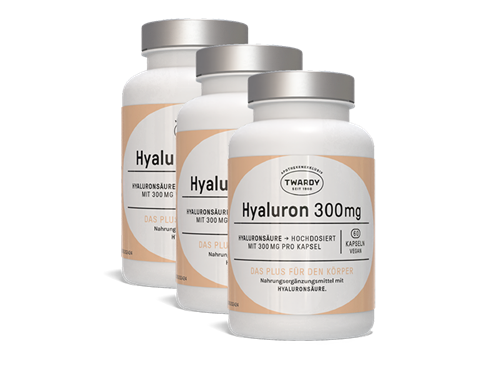 Bild von Astrid Twardy - Hyaluron 300mg  - 3x 60 Kapseln
