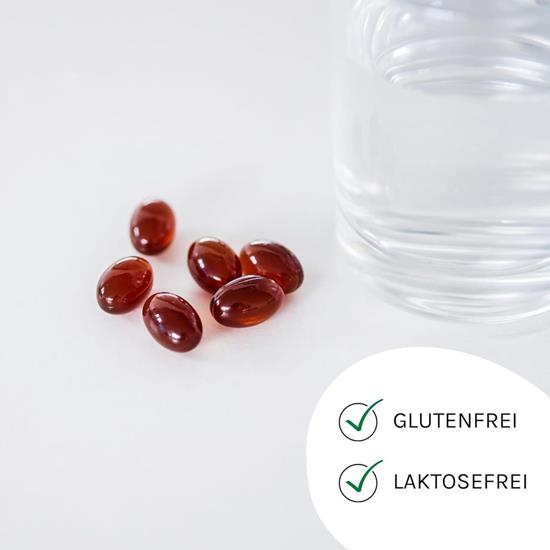 Bild von Astrid Twardy - Lecithin Kapseln - 60 Kapseln