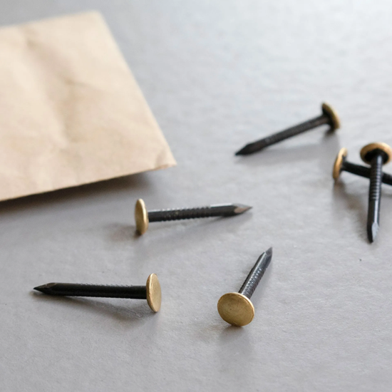 Bild von TOX Bildernagel Home Classic aus gehärtetem Stahl mit Messingkopf in recycelbarer Papierverpackung, Größe 2,0 x 25 mm, Stahlnägel für Bilder für nahezu alle Baustoffe, 20 Stk., 063600101